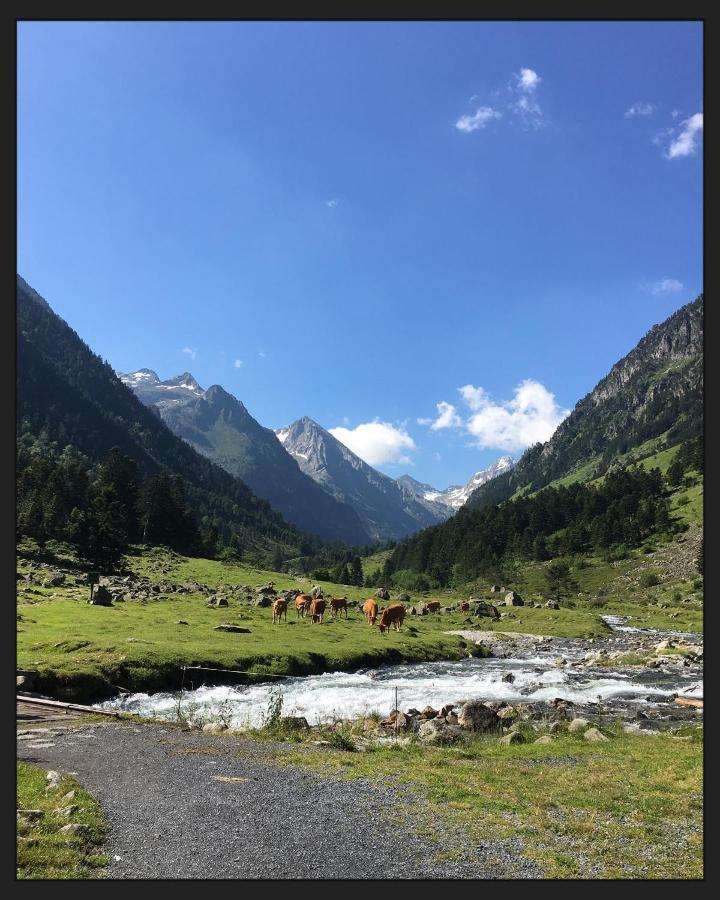 Appartement Cocooning Cauterets Coeur De Ville Dış mekan fotoğraf
