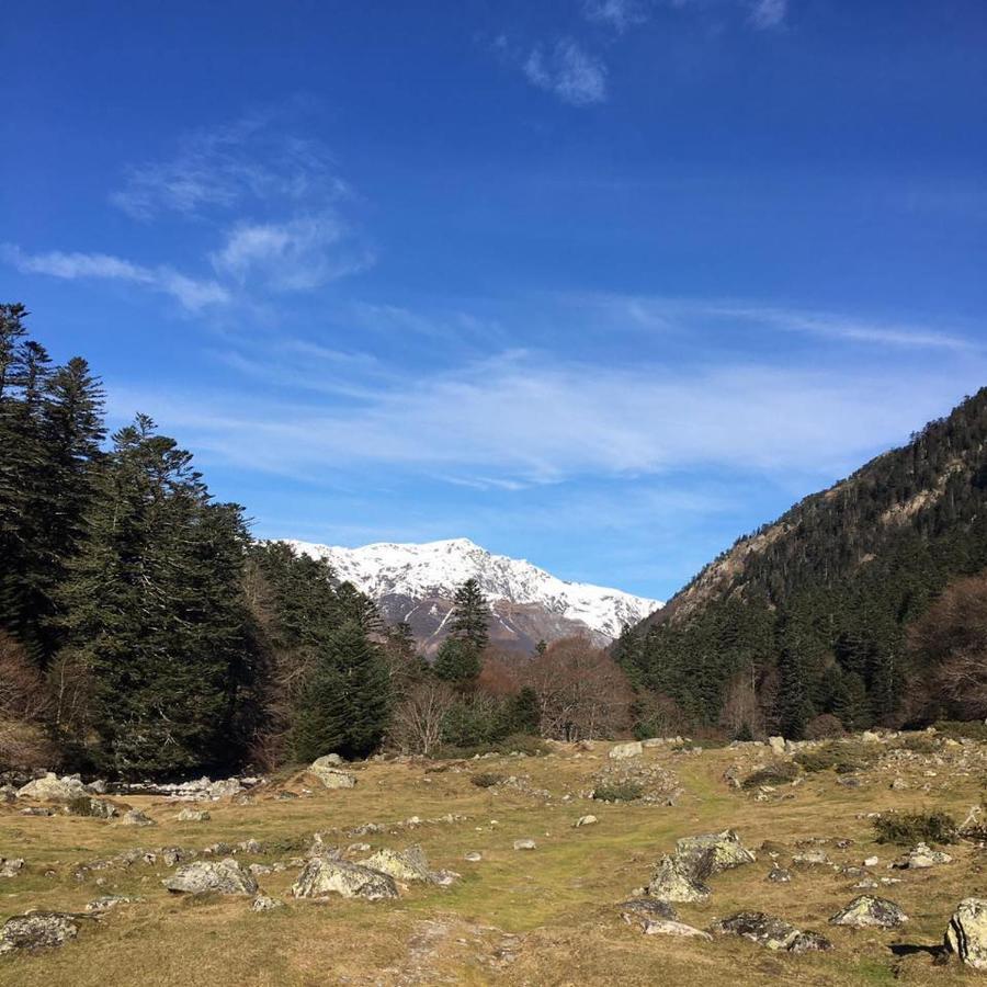 Appartement Cocooning Cauterets Coeur De Ville Dış mekan fotoğraf